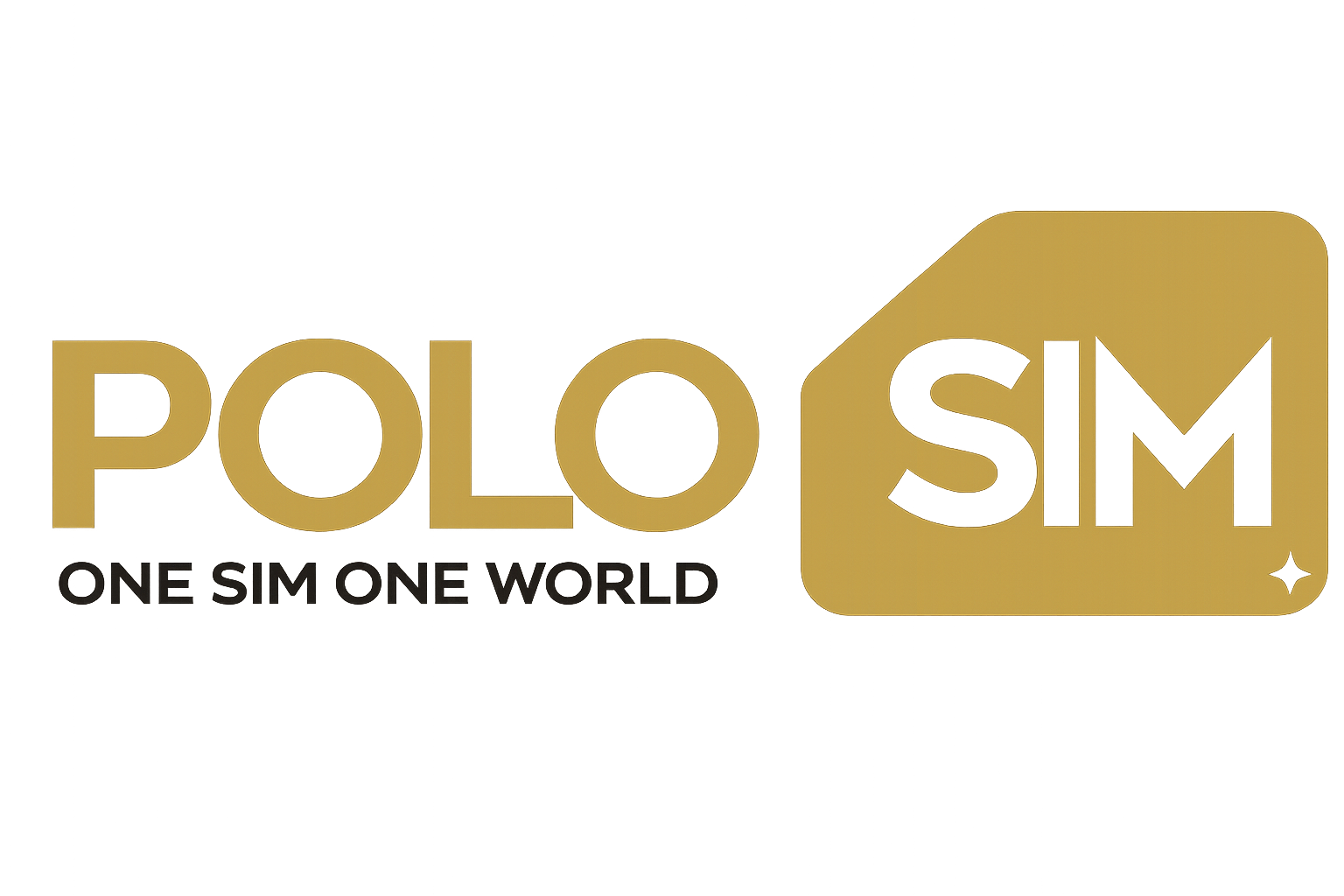 PoloSim
